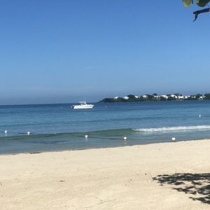 Meet your Posher, Pam